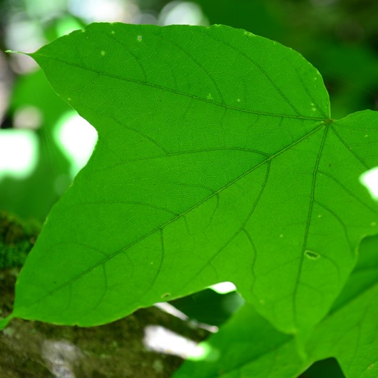 [DSC_9207%255B6%255D.jpg]