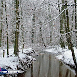 Beekje in het bos.jpg