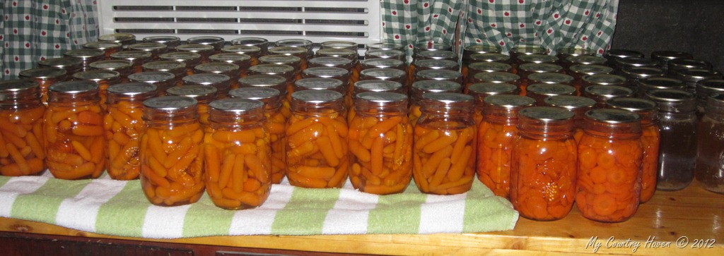 [IMG_0742%255B11%255D.jpg]