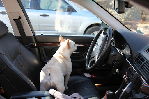 Well, if he's not coming, maybe I should drive.  This thing can't be much different than driving the Kawasaki, right?