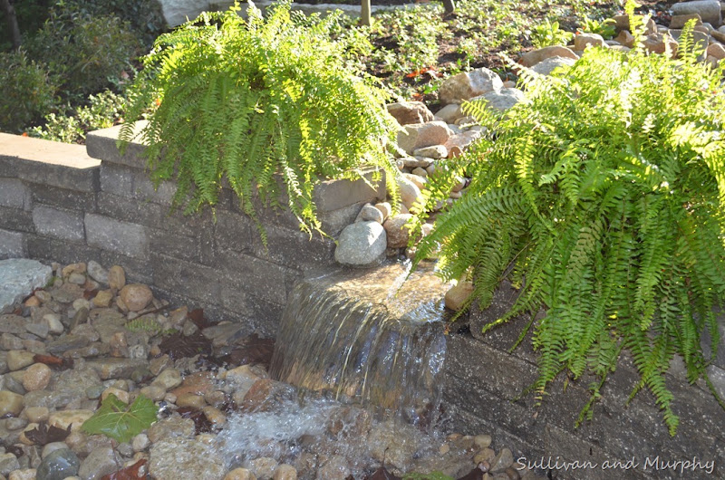 waterfall wall into pondless basin