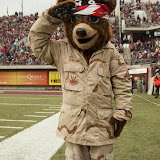 Washington-Grizzly Stadium in Missoula, Mont., October 27th, 2012.