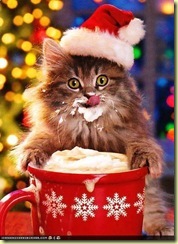 eggnog puss