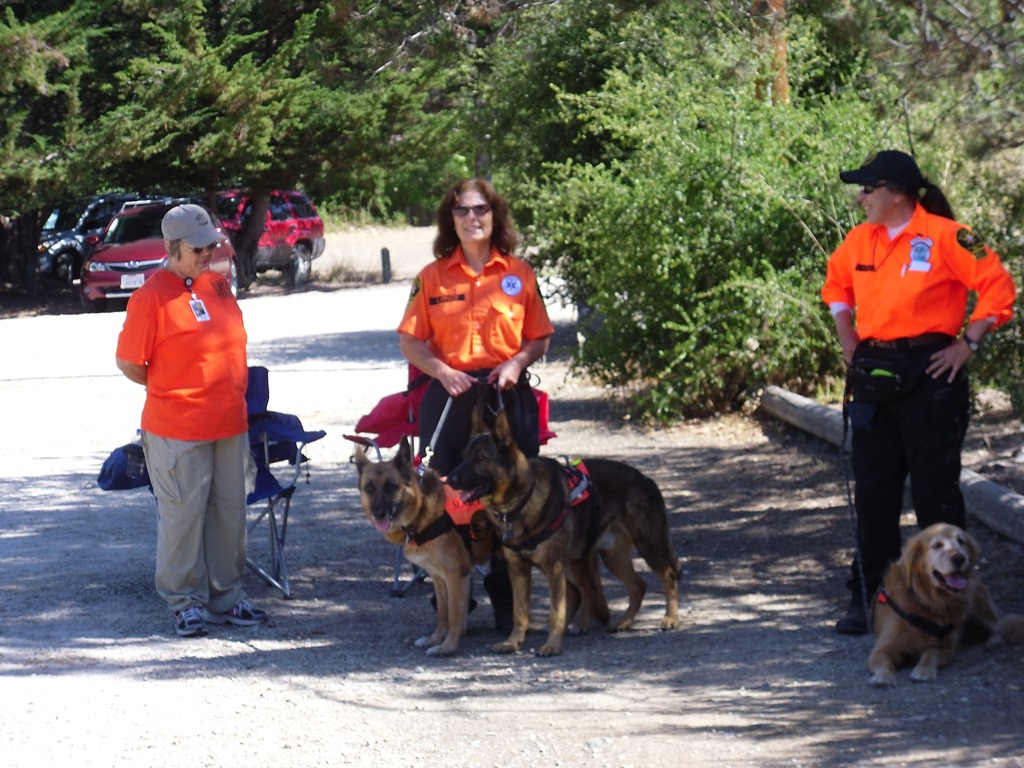 [K-9%2520Dog%2520Search%2520and%2520Rescue%2520Team%2520001%255B3%255D.jpg]