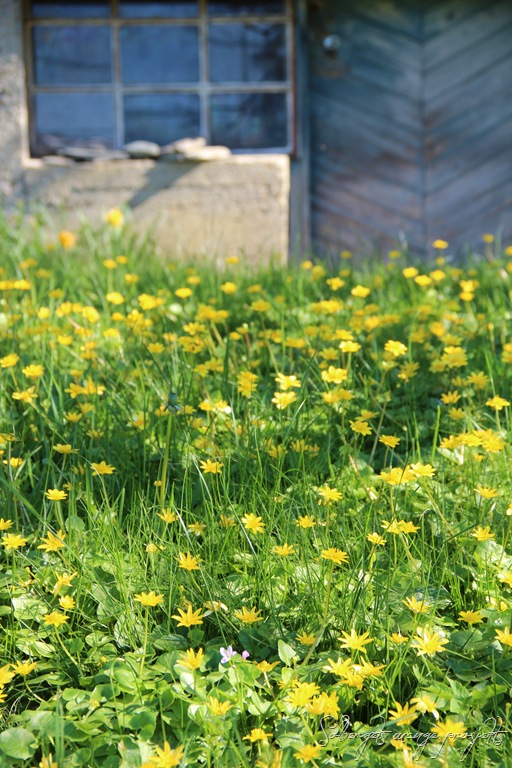 [IMG_3410%255B12%255D.jpg]