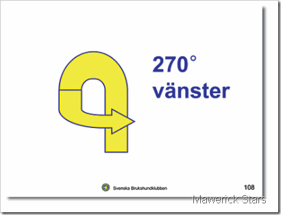 Rallylydnad_Nyorjarklass420 Rallylydnad_Nyorjarklass420