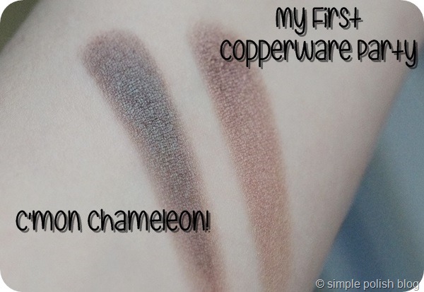 Beauty and Mooore Box Swatch Catrice C'mon Chameleon My First Copperware Party