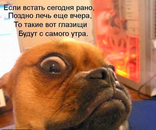 [kotomatrix_118%5B7%5D.jpg]