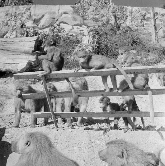 clip_image019 clip_image019