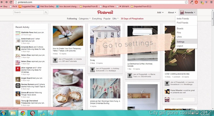 got to pinterest settings