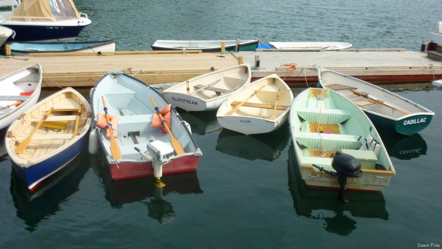 [Acadia-National-Park_1783.jpg]