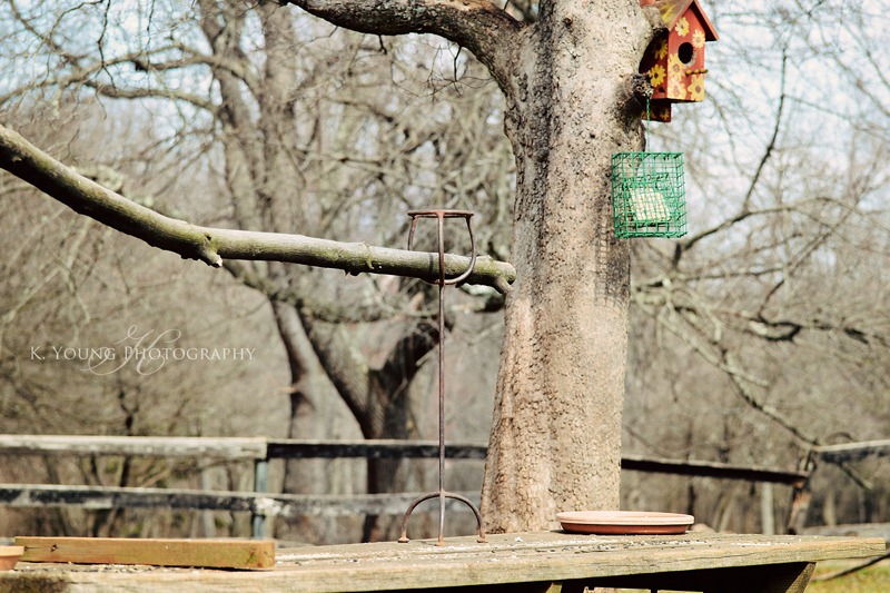 [DSC_3574-copy-26.jpg]