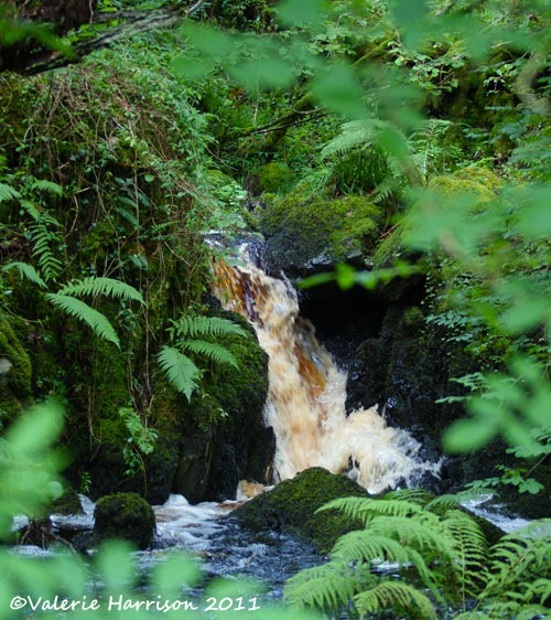 [10-waterfall%255B2%255D.jpg]