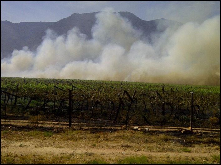 HEXRIVIER 2 VINYARDS BURNING BY PROTESTORS WHO DEMAND MORE JOBS