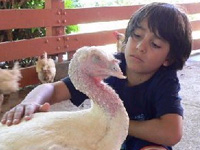 Many children enrolled in such courses develop the same feelings as they get to know an animal as an individual. Many children enrolled in such courses develop the same feelings as they get to know an animal as an individual.