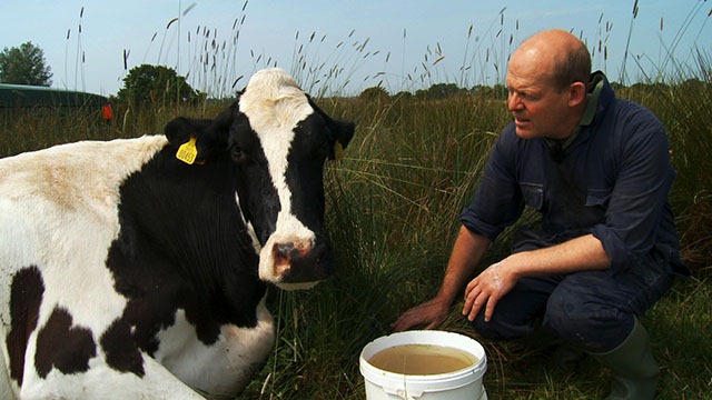 05 The Moo Man