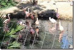 IMG_6593 IMG_6593