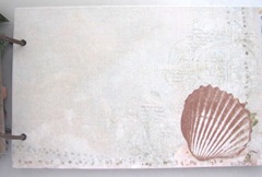Beach journal mat board front cockle shell page Beach journal mat board front cockle shell page