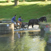 DSCN4846.JPG