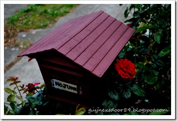 DSC_0582 DSC_0582