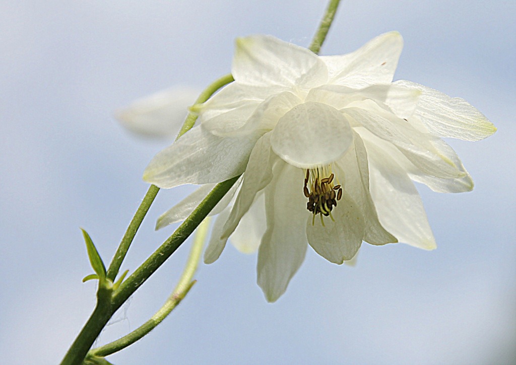 [IMG_88584.jpg]
