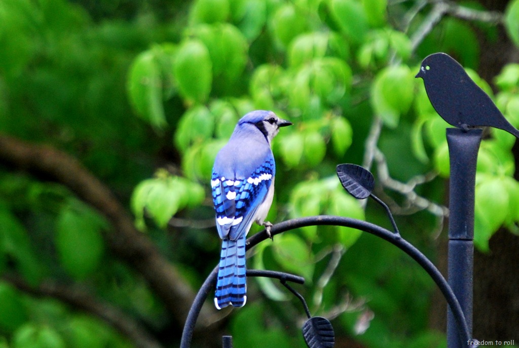 [DSC_6308%255B8%255D.jpg]