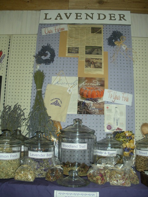 [summer%2520small%2520camera%2520014%255B5%255D.jpg]