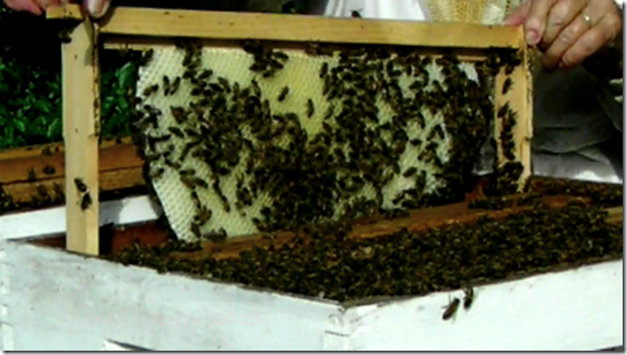x23456789 10cs x23456789 10cs