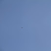 IMG_4655.JPG