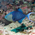 P7024266
