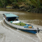Banana-Boot bringt Futter für die Orant-Utans