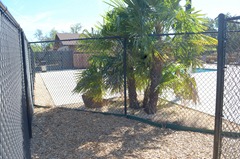 great idea, a holding pen for your dog while you swim