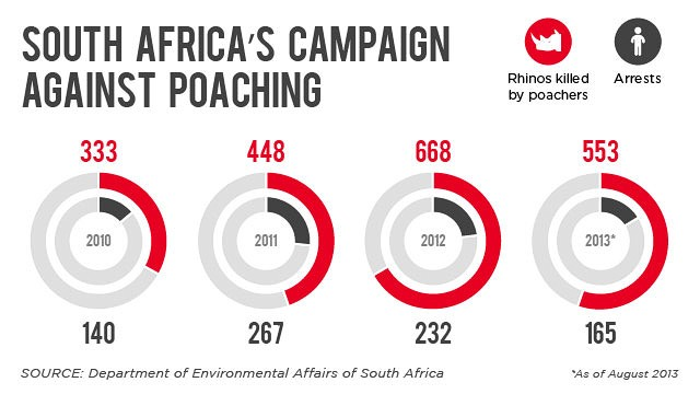 South Africa's campaign against rhinoceros poaching, 2010-2013. Graphic: CNN / Department of Environmental Affairs of South Africa