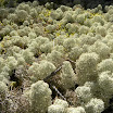 DSCN9599.JPG