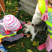 Wycieczka do Kłody 2013-10-11 007.JPG