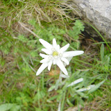 DSC05791.JPG