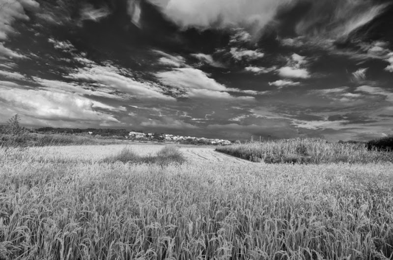 AMC_3523bw