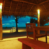 Dolphin Beach