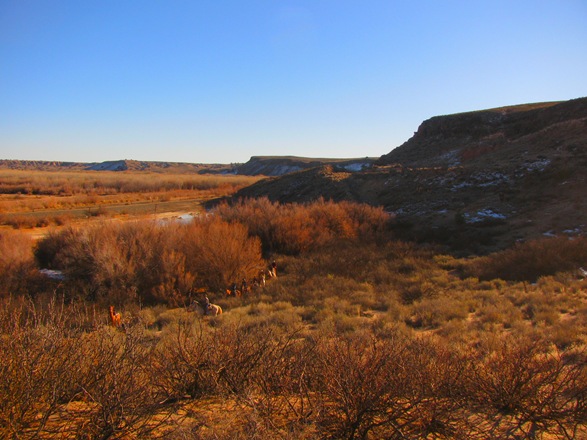 [IMG_8418%255B6%255D.jpg]