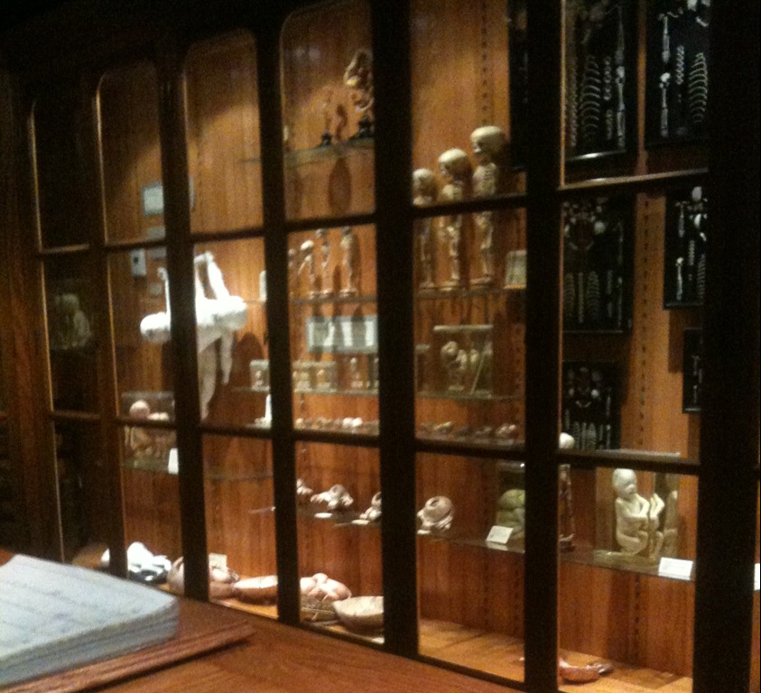 [IMG_0971%255B6%255D.jpg]