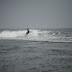 _MG_7537.JPG