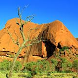 On The Kuniya Walk - Yulara, Australia