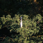 photoIMG_3688.jpg