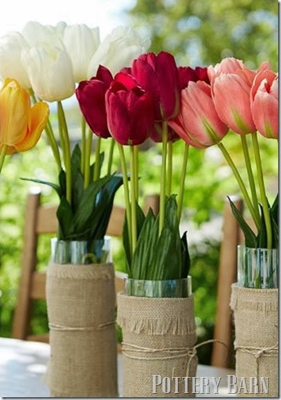 Pottery Barn Vase Pottery Barn Vase