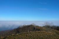 P1090681.jpg