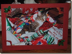 DSC_0004 DSC_0004