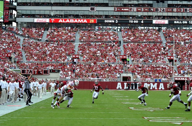 bama_10 bama_10