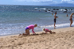 IMGP3107.jpg IMGP3107.jpg