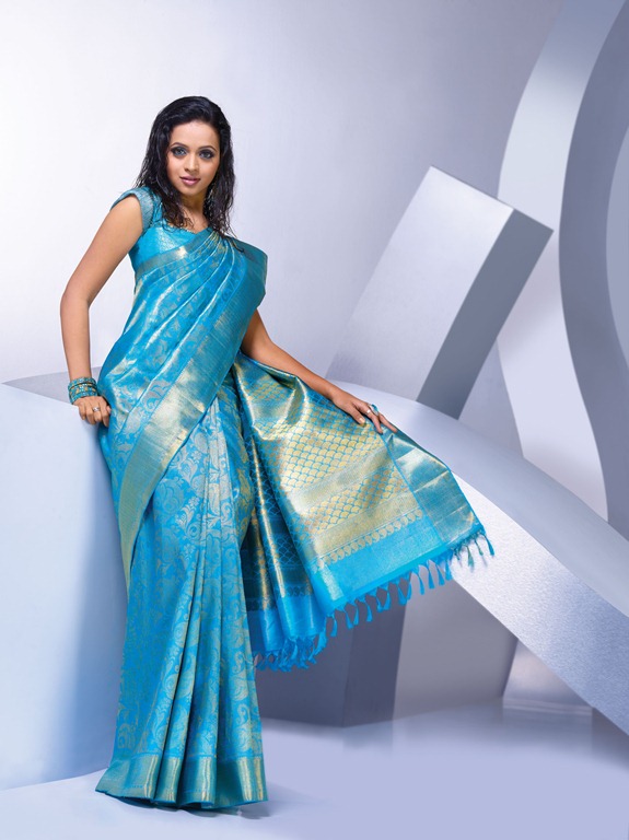 [bavana%2520in%2520hot%2520saree%2520still%255B3%255D.jpg]