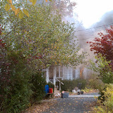 IMAG0050.jpg